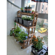 可移动花架 花架子室内实木花盆架 落地式绿萝吊兰多肉阳台挂式悬挂置物架